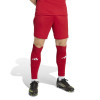 adidas Entrada 26 Shorts