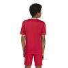adidas Entrada 26 Jersey