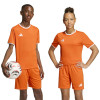 adidas Entrada 26 Jersey