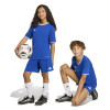 adidas Entrada 26 Shorts