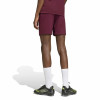 adidas Entrada 26 Shorts