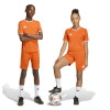 adidas Entrada 26 Shorts