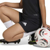 adidas Entrada 26 Shorts