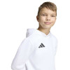 adidas Entrada 26 Hoody