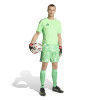 adidas Tiro 26 Competition Goalkeeper Jersey (Short Sleeve)
