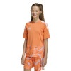 adidas Tiro 26 Competition Goalkeeper Jersey (Short Sleeve)