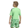 adidas Tiro 26 Competition Goalkeeper Jersey (Short Sleeve)