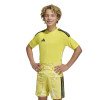 adidas Tiro 26 Competition Goalkeeper Jersey (Short Sleeve)