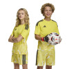 adidas Tiro 26 Competition Goalkeeper Jersey (Short Sleeve)