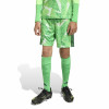 adidas Tiro 26 Competition Goalkeeper Shorts