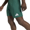 adidas Entrada 26 Shorts