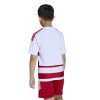 adidas Hooped 26 Jersey