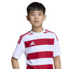 adidas Hooped 26 Jersey