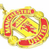 Team Merchandise Crest Keyring