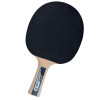 DONIC Legends 1000 Table Tennis Paddle