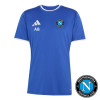 Newtownbreda Training Jersey