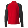 Puma Team Liga Training 1/4 Zip Top