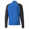 Puma Team Liga Training 1/4 Zip Top