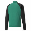 Puma Team Liga Training 1/4 Zip Top