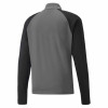 Puma Team Liga Training 1/4 Zip Top
