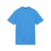 Puma Team Goal Casuals Polo