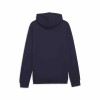 Puma Team Goal Casuals Hoody