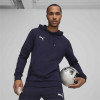 Puma Team Goal Casuals Hoody
