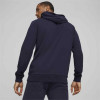 Puma Team Goal Casuals Hoody