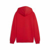 Puma Team Goal Casuals Hoody