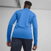 Puma Team Goal Training 1/4 Zip Top