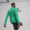 Puma Team Goal Training 1/4 Zip Top