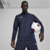 Puma Team Goal Training 1/4 Zip Top