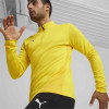Puma Team Goal Training 1/4 Zip Top