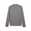 Puma Team Goal Training 1/4 Zip Top