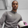 Puma Team Goal Training 1/4 Zip Top