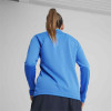 Puma Womens Team Goal Training 1/4 Zip Top