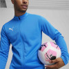Puma Team Goal Training Jacket