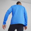 Puma Team Goal Training Jacket