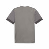 Puma Team Goal Matchday Jersey