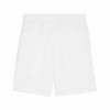 Puma Team Goal Shorts