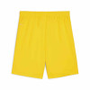 Puma Team Goal Shorts