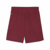 Puma Team Goal Shorts