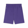 Puma Team Goal Shorts