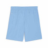 Puma Team Goal Shorts