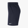 Nike Fleece Park 20 Short
