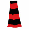 Result Team Scarf