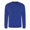 Prortx Pro Sweatshirt