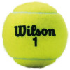 Wilson Championship 4 Ball Can