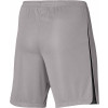 Nike League III Knit Shorts