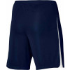 Nike League III Knit Shorts